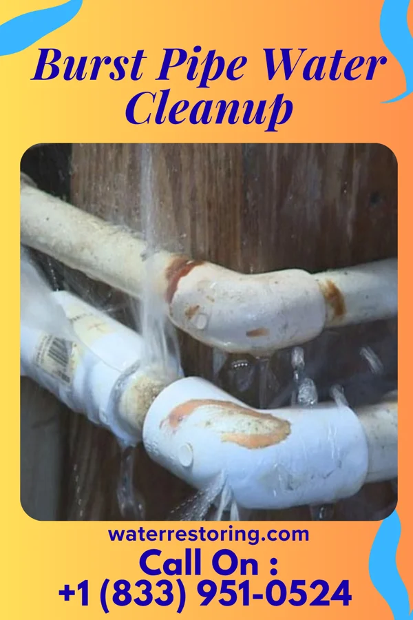 Burst Pipe Water Cleanup in Browntown, PA