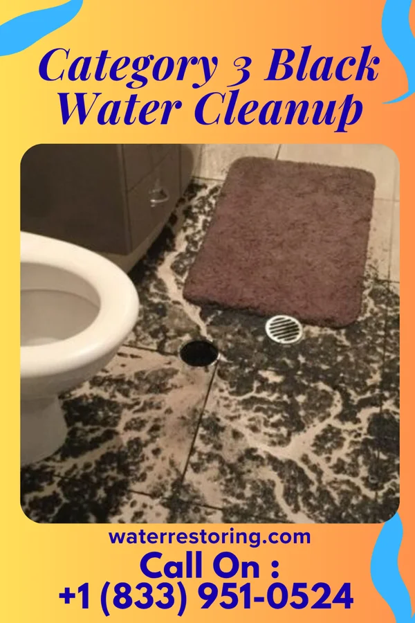 Category 3 Black Water Cleanup in Browntown, PA