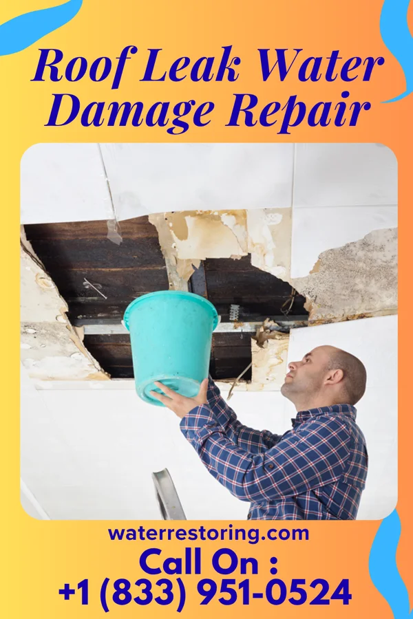 Roof Leak Water Damage Repair in Browntown, PA