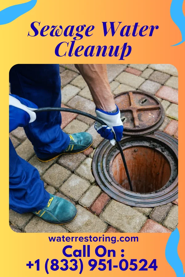 Sewage Water Cleanup in Browntown, PA